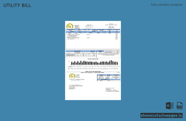 USA Tri-County Electric Cooperative – Beispielrechnung (Vorschau)